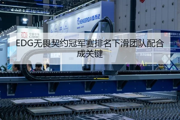 EDG无畏契约冠军赛排名下滑团队配合成关键