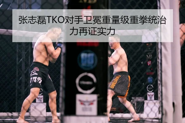 张志磊TKO对手卫冕重量级重拳统治力再证实力