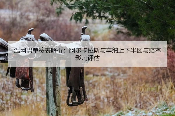 温网男单签表解析：阿尔卡拉斯与辛纳上下半区与赔率影响评估